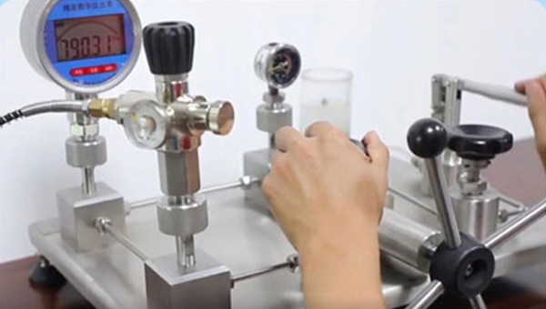 PCP valve check Topa supplier